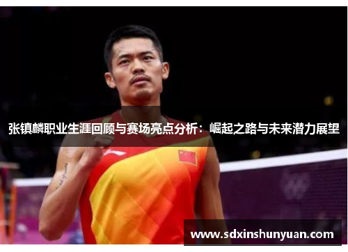 张镇麟职业生涯回顾与赛场亮点分析：崛起之路与未来潜力展望