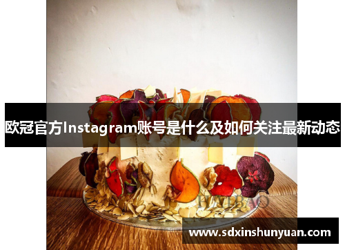 欧冠官方Instagram账号是什么及如何关注最新动态