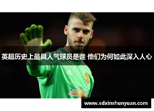 英超历史上最具人气球员是谁 他们为何如此深入人心