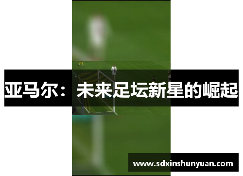 亚马尔：未来足坛新星的崛起