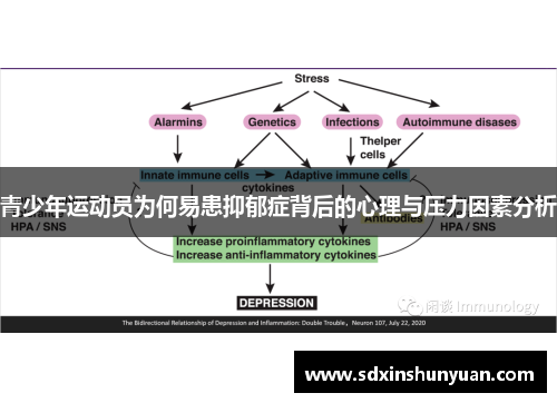 青少年运动员为何易患抑郁症背后的心理与压力因素分析
