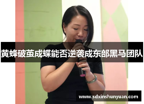 黄蜂破茧成蝶能否逆袭成东部黑马团队