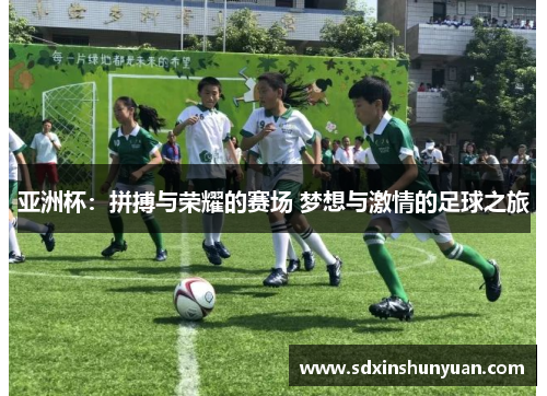 亚洲杯：拼搏与荣耀的赛场 梦想与激情的足球之旅