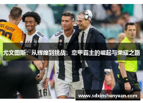 尤文图斯：从辉煌到挑战，意甲霸主的崛起与荣耀之路