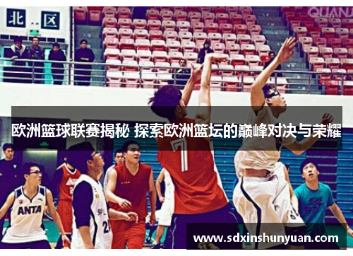 欧洲篮球联赛揭秘 探索欧洲篮坛的巅峰对决与荣耀