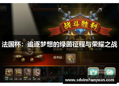 法国杯：追逐梦想的绿茵征程与荣耀之战