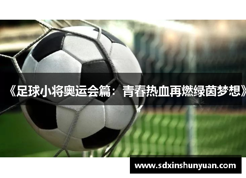 《足球小将奥运会篇：青春热血再燃绿茵梦想》